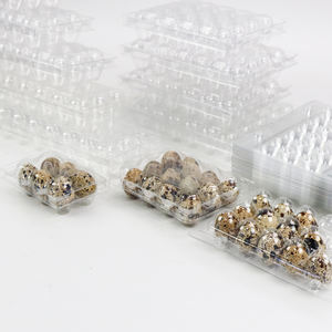 Plateau de 24 Alvéoles Pliable pour Œufs de Caille – Cartons à Œufs de Caille - Product Image 6