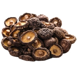 デタン高品質工場キノコ成長乾燥シイタケ販売2-3cm - Product Image 1