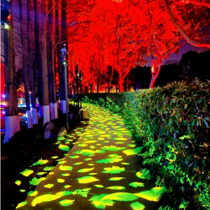 Long Throw Pattern <b>Projector</b> for Building Entrances Hotels Resorts Events Parks and Large Branded Projection Displays - Product Image 1