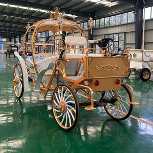 Carruaje de Cenicienta en Venta, Transporte Especial, Carruaje de Fantasía de Princesa Calabaza, Carruaje Eléctrico en Venta - Product Image 4