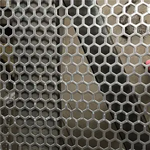 Factory Price Thickness 1/3mm 304/ 316 Stainless Steel Mesh Panels Metal Protection Netting Perforated Metal Sheet