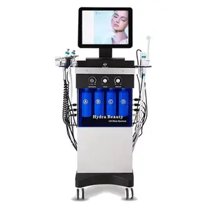 14 in 1 Aesthetic Medicine Facial Jet Peel Machine Pdt Type Hydra Beauty Salon Equipment with US Plug for Spa & Face Use