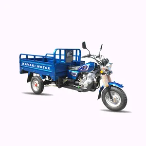 फैक्टरी थोक मूल्य 150cc 200cc अनुकूलन इंजन कार्गो tricycle के लिए वयस्क