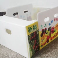 Meilleur prix pour les boîtes de transport en plastique ondulé Coroplast Poly PP pour tomates fraîches, raisins, emballage, stockage de fruits, empilables