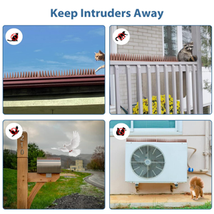 Casa jardín azotea balcón Anti escalada valla picos <span class=keywords><strong>paloma</strong></span> disuasorio pájaro picos para palomas - Product Image 5