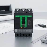 Disjoncteur Schneider Electric NSX160B C16B3TM160 C16B3TM125 C16B6TM125 C16B6TM160 MCCB 160A 125A 3P/4P