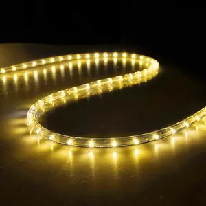 rope lighting ideas, rope lighting ideas Suppliers and