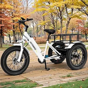 High Quality Ebike 48V 500w 750W Electric Trike High Speed Electric Tricycles 3 Wheel Electric Cargo Bike With Battery