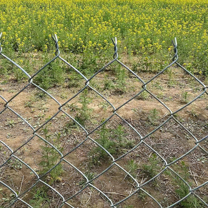 Malla de Alambre Galvanizado Sostenible para Cercas de Eslabones, para <span class=keywords><strong>la</strong></span> Protección de Parques Ecológicos <span class=keywords><strong>y</strong></span> Espacios Verdes - Product Image 2