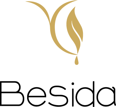 Zhangjiagang Besida Cosmetic Packaging Co., Ltd. logo