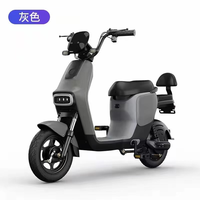 Vélo Électrique de Ville pour Adultes 500W 48V, Vente en Gros Usine, Moto Électrique à Deux Roues avec Batterie au Plomb