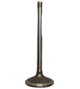 Soupape d'échappement 20565912 20405503 11700352 pour Penta TD520GE TD520VE TD720GE - Product Image 1