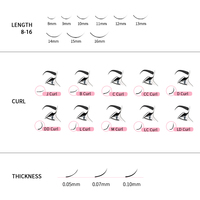 Extensions de cils en fibre PBT faites à la main, base pointue, éventails de volume pré-faits, 3D, 0.05 0.07 0.10, 20 lignes, éventails lâches, légers et doux