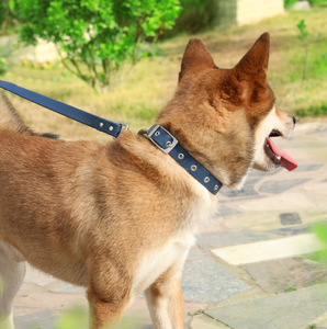 2023 ° a prueba de agua. - Product Image 5