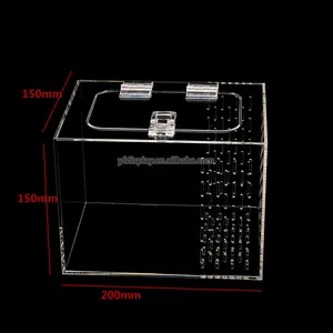 Caixa acrílica perfurada a laser, caixa de exibição de acrílico transparente respirável com abertura de aba