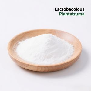 Polvo Probiótico de Grado Alimenticio <span class=keywords><strong>Lactobacillus</strong></span> <span class=keywords><strong>Plantarum</strong></span> 10 Mil Millones de UFC/g Blanco Vida Útil de 2 Años 1 kg/Bolsa de Aluminio - Product Image 2