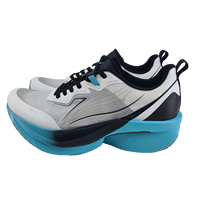 Chaussures de course à semelle en carbone pour hommes, respirantes, professionnelles, pour l'entraînement au marathon, légères, chaussures de sport de compétition, personnalisées