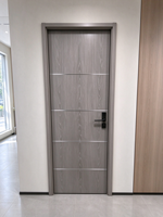 Porte intérieure moderne en bois massif, style Shaker, 2 panneaux, 30x80 po, apprêtée blanche, pour maison, norme américaine