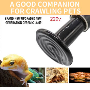 Chauffage pour <span class=keywords><strong>poulailler</strong></span> à couveuse, chauffage pour poussins, 120V 220V 50W 75W 100W 150W 200W, lampe chauffante pour reptiles, pour incubateur à œufs - Product Image 4