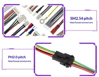 Cable de Conexión Personalizado de Fábrica XH2.54, Arnés de Cables con Terminales Macho y Hembra, Cable de Cobre Estañado Rojo y Negro con Aislamiento de Goma