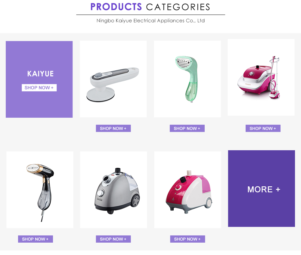 Best professional portable travel new design steam iron handheld garment steamer for home use
