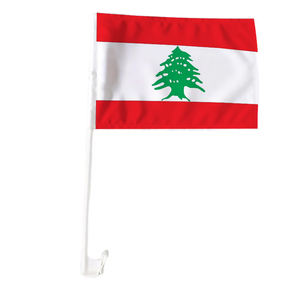 定制数码印刷定制徽标 12x18 英寸马耳他国旗车窗旗夹，适用于爱国体育赛事游行 - Product Image 2