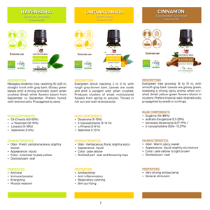 High Quality <b>Aromatic</b> Essential Oil Raw Material, Multiple Fragrances for Cosmetics, <b>Perfumes</b>, OEM - Product Image 2