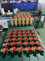 Vente directe usine YONGZHAN YZ015 Vanne d'extincteur flexible en laiton pour incendies de classe B Installation facile Origine Shanghai