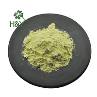Poudre de Pandan en gros de haute qualité poudre de feuille de Pandan de plante naturelle