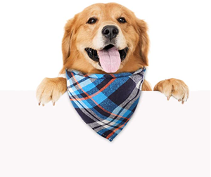 Dog Bandanas <strong>Plaid</strong> 30 Triangle Dog Scarves <strong>Plaid</strong> Cloth <strong>Bandana</strong> Adjustable &amp; Washable Pet Scarf Fall Handkerchiefs Bibs - Product Image 3