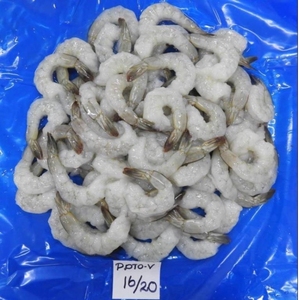 Camarón crudo pelado sin venado IQF PUD MARISCOS CONGELADOS capturados salvajes para el suministro a granel exportación importación compradores de procesamiento de mariscos - Product Image 4