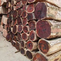 Vente en gros de planches de bois massif en cyprès rouge, grain de bois clair, résistantes à la corrosion, avec 15 % d'humidité, pour cigares longs