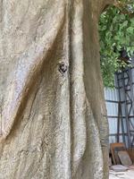 Arbres artificiels Aanyan en fibre de verre écologiques pour décoration de fête, club de musique, bureau extérieur