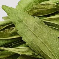 Feuilles de Stévia Séchées Naturelles au Goût Sucré pour Tisanes – Feuilles de Stévia Rebaudiana pour Infusions