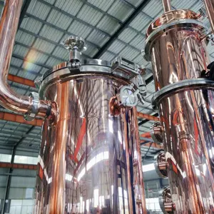 500L Best Seller Multi-function Single Layer Copper Distiller Alcohol Distilling Machine Whisky Gin Distillery Equipment