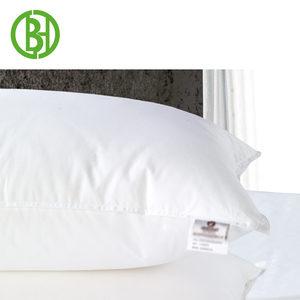 Poliéster lado cama almohada <span class=keywords><strong>microesferas</strong></span> lado durmiente Pro mejor pluma europea <span class=keywords><strong>de</strong></span> grupo llenar <span class=keywords><strong>almohadas</strong></span> tamaño para comprar - Product Image 5