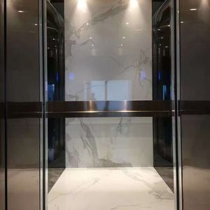 Ascenseur résidentiel économique FUJI pour 2 étages, 320 kg, 4 personnes, ascenseur domestique avec garantie de 15 ans, installation facile - Product Image 3