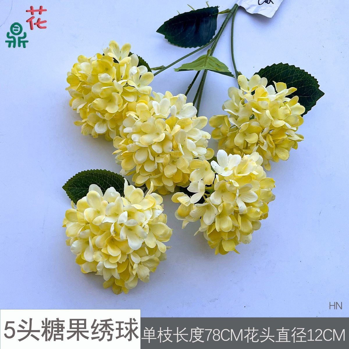 แคนดี้ไฮเดรนเยีย HN 5 หัว สีเหลือง ไม่มีใบ