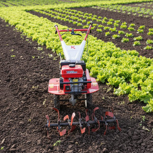 JINKE Hot Sale Diesel Walking Tractor <b>Cultivator</b> | Mini Power Tiller for Farm, Garden, Orchard Soil Loosening CE Certification - Product Image 1