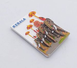 راتنج ثلاثي الأبعاد مغناطيس ثلاجة مجموعة كيرالا تذكارية راتنج مشغولات يدوية - Product Image 5