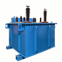 Transformador de excitación sumergido en aceite para pruebas eléctricas, unidad elevadora dedicada, voltaje ajustable, alta precisión, IP55, 1 año de garantía