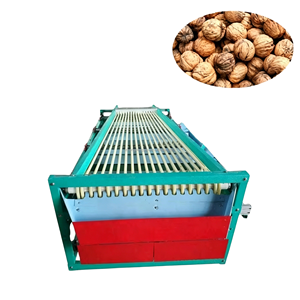 Machine de tri et de calibrage pour tomates, fruits de la passion, maybush, haw, pommes et poires - Product Image 2