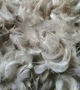 Horng Shya Feather Crafts G Top Selling Natural Washed Or Dyed Customized White Duck Down Material Feathers For Sale