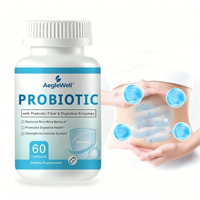 WELLBODY Vente en gros Capsules Probiotiques 3-en-1 pour la Santé Intestinale Fibres Prébiotiques Enzymes Digestives Restauration de la Microflore Intestinale