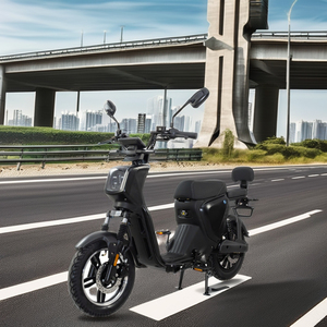 Venta Directa de Fábrica: Motocicleta Eléctrica de Alta Potencia de 1000W, Velocidad de 45km/h, Tipo Moped - Product Image 4