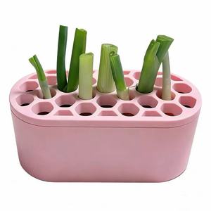 Nuevo Tipo <span class=keywords><strong>de</strong></span> Contenedor para Regeneración <span class=keywords><strong>de</strong></span> Cebolla Verde, Caja <span class=keywords><strong>de</strong></span> Cultivo <span class=keywords><strong>de</strong></span> Vegetales, Contenedor <span class=keywords><strong>de</strong></span> Plástico para Plantas Hidropónicas - Product Image 1