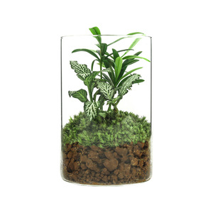 Decoración realista de mesa de té con musgo para sala de estar, estudio interior, adorno de escritorio, fácil de mantener como planta verde, pequeño regalo de cristal - Product Image 3