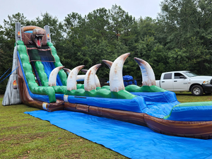 Outdoor 22' Jurassic Rush Dinosaur Water <strong>Slide</strong> <strong>Inflatable</strong> Commercial <strong>Inflatable</strong> <strong>Slides</strong> Huge Water <strong>Slide</strong> with <strong>Pool</strong> for Kids - Product Image 5