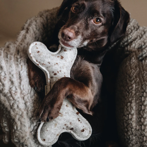 Dayanıklı kemik köpek oyuncak nokta keçe köpek kemik çiğnemek oyuncak Pet yavru oyuncak köpek hediye mevcut - Product Image 6