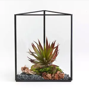 Schwarzes Dreieck Glaster rarium für Sukkulenten Pflanzen blume Aufbewahrung sbox Glasbehälter Metall kerzen behälter halter